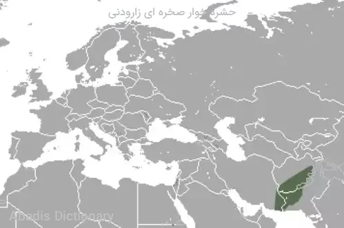 حشره خوار صخره ای زارودنی